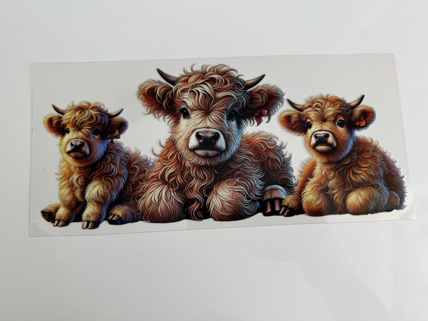 16oz Wrap - HIGHLAND COWS (3)